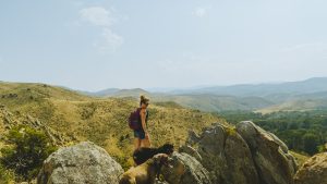 HIKES AND DOGS 1